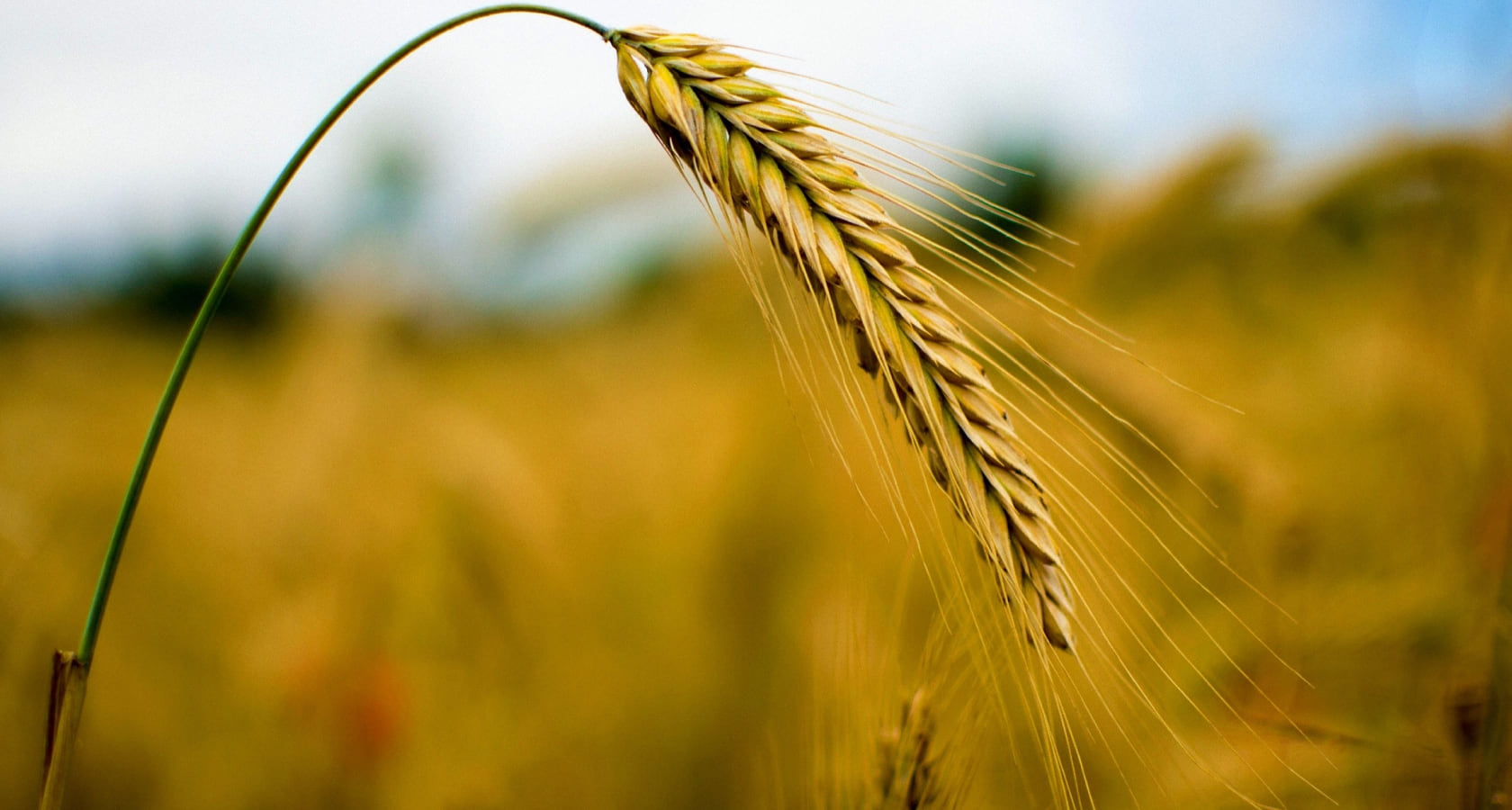 Ut enim ad minima, quis nostrum eationem