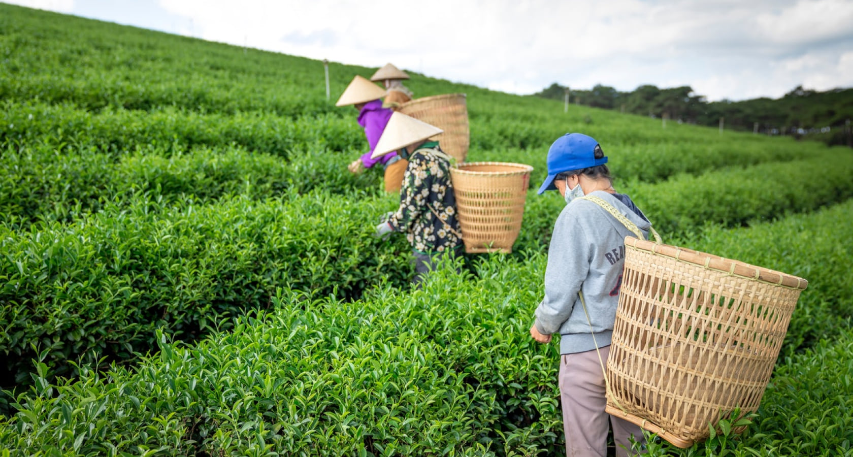 Nemo enim ipsam quia sit aspernatur aut odit